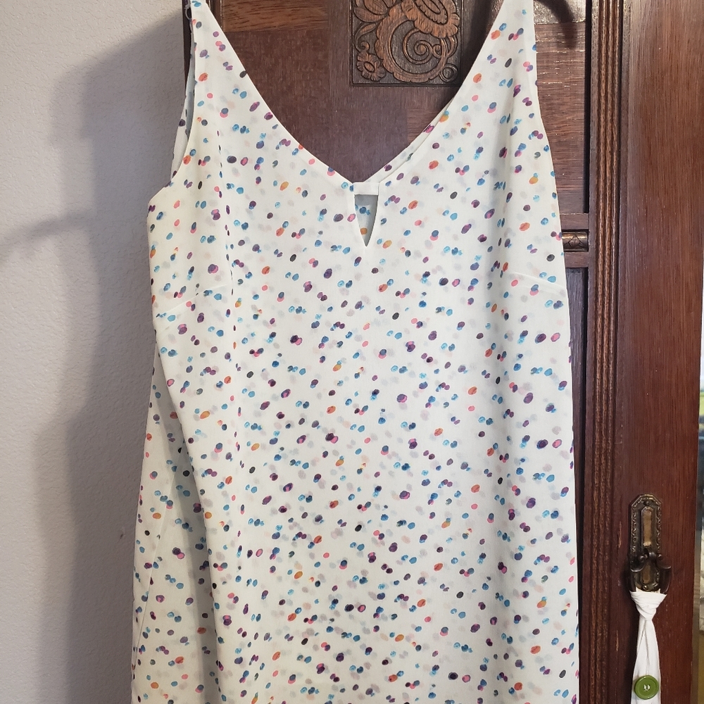 CAbi XS chiffon confetti top